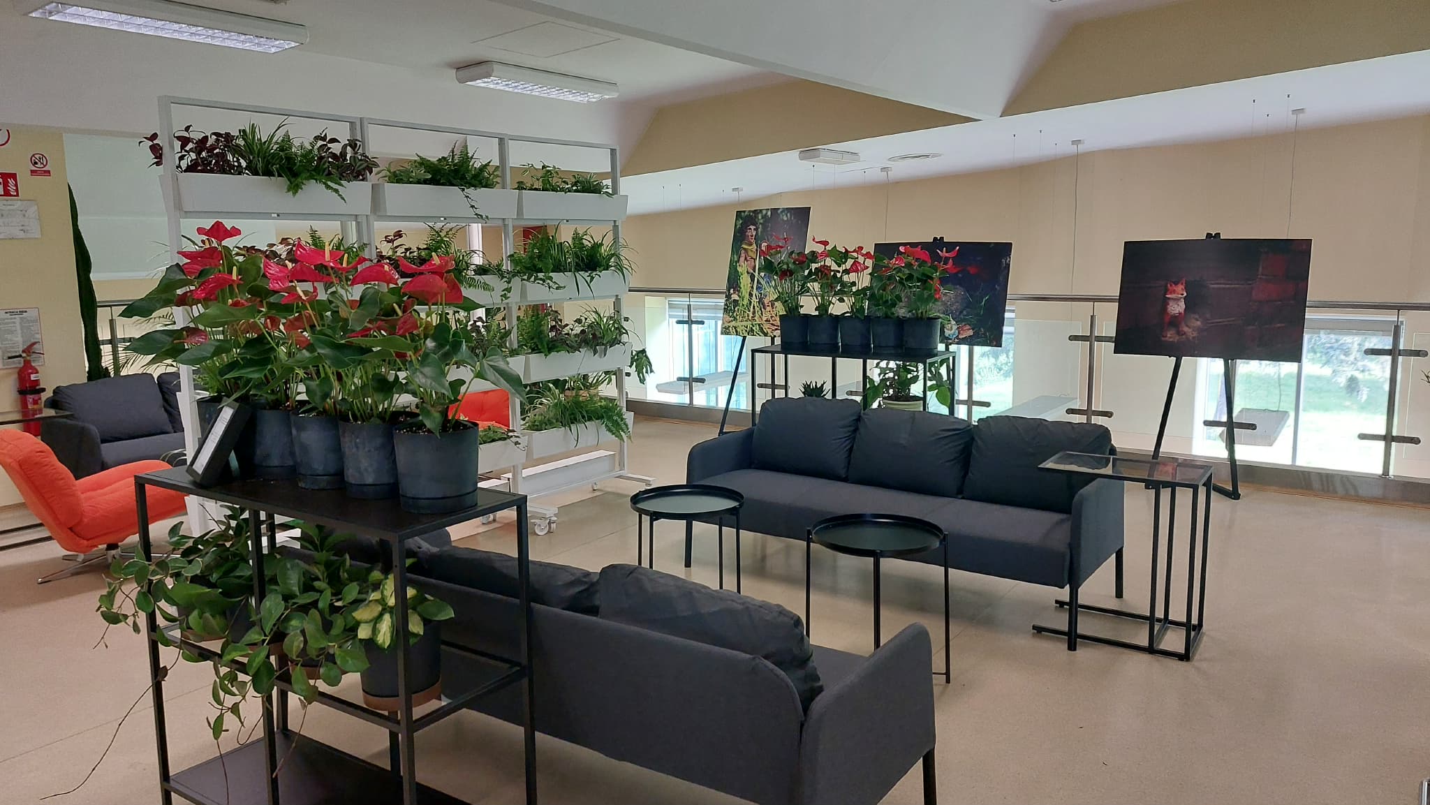 Zielona Antresola – nowa ekologiczna przestrzeń w dąbrowskiej bibliotece