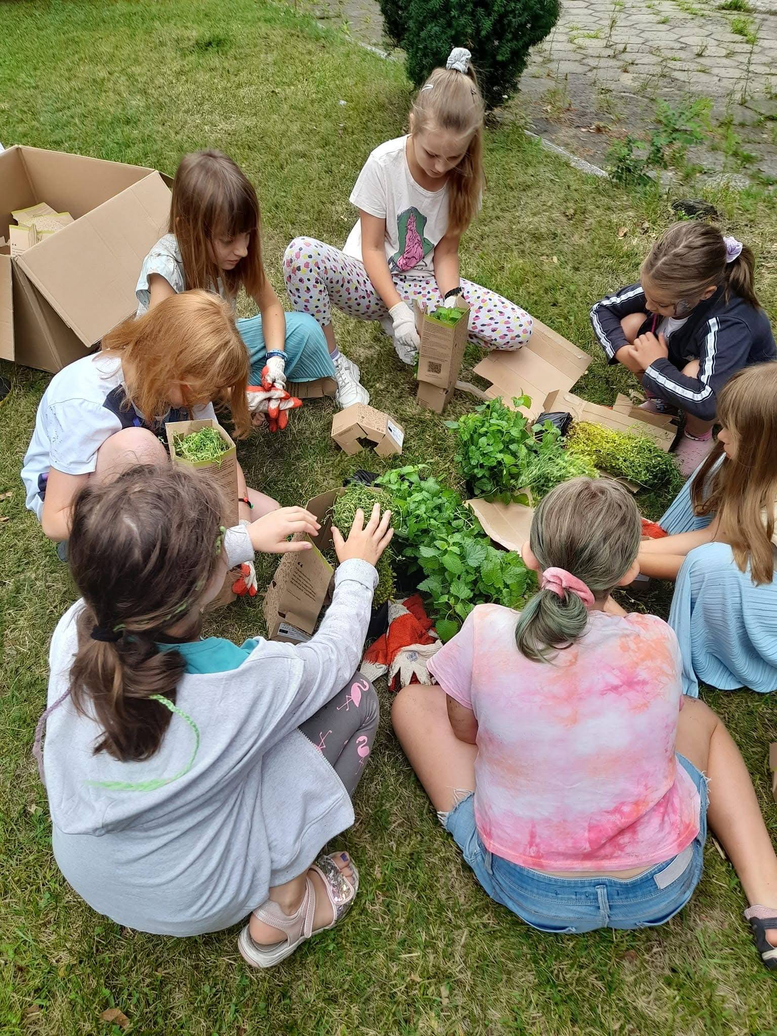 Dzieci siedzące na podłodze rozwiązujące łamigłówkę na warsztatach ekologicznych