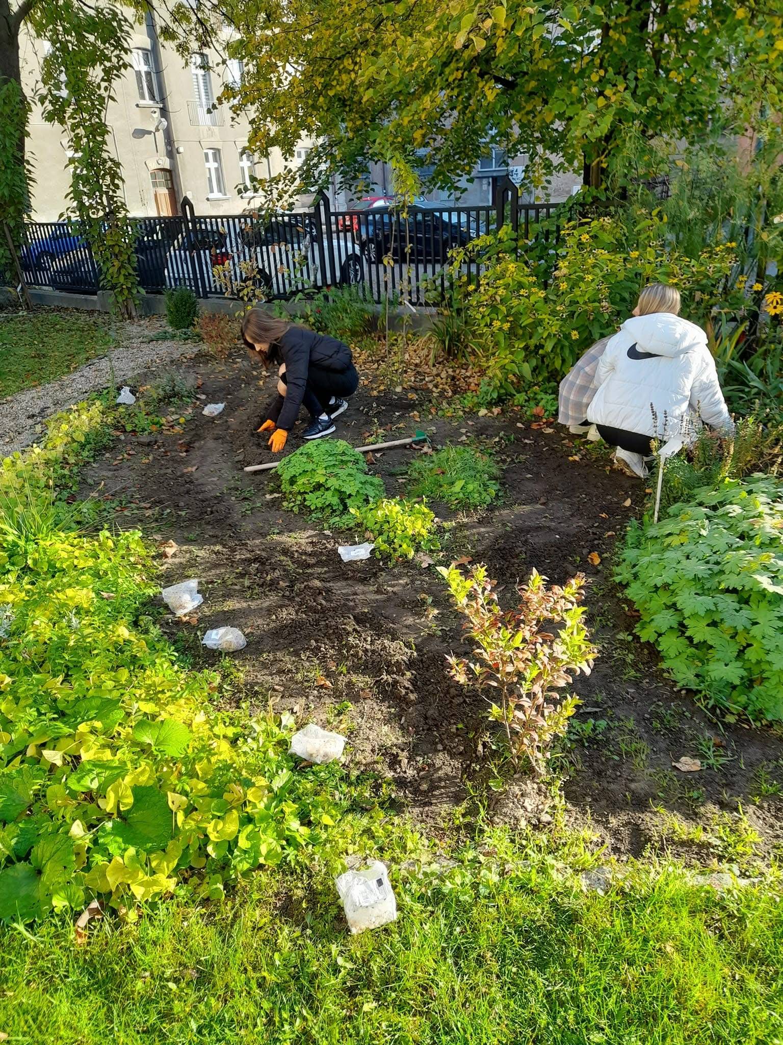 Dzieci z lupą oglądające drzewo